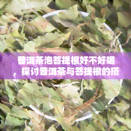 普洱茶泡菩提根好不好喝，探讨普洱茶与菩提根的搭配：口感如何？值得一试吗？