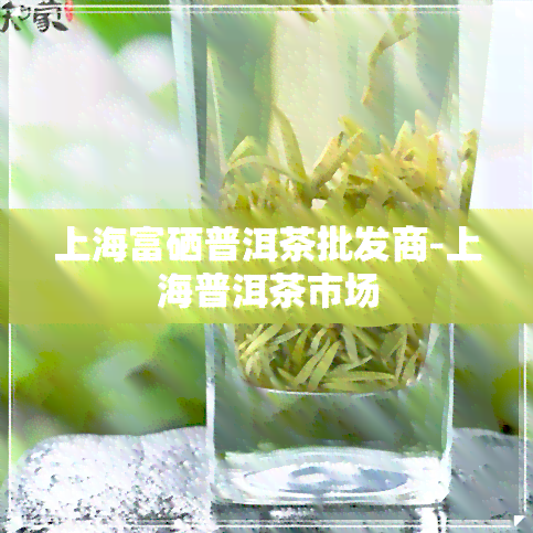 上海富硒普洱茶批发商-上海普洱茶市场