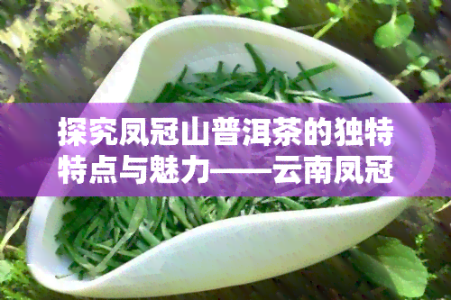 探究凤冠山普洱茶的独特特点与魅力——云南凤冠山古茶特色品鉴