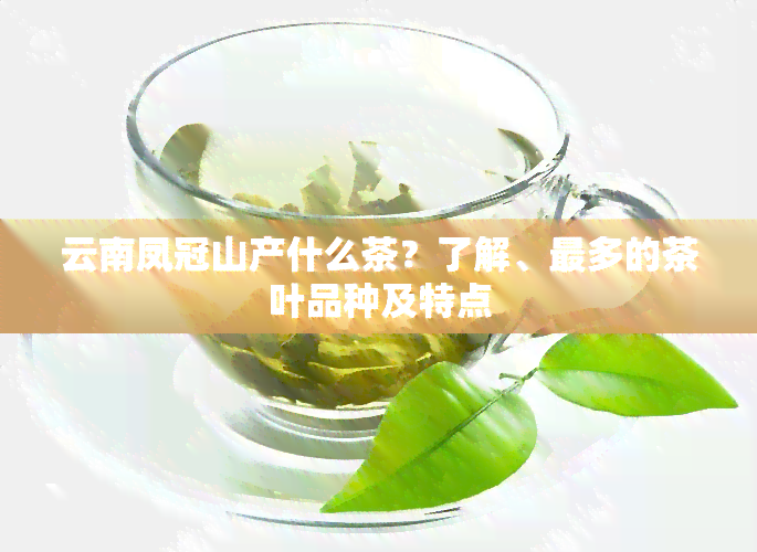 云南凤冠山产什么茶？了解、最多的茶叶品种及特点