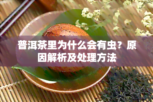 普洱茶里为什么会有虫？原因解析及处理方法