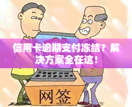 信用卡逾期支付冻结？解决方案全在这！