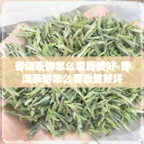 普洱茶饼怎么看质量好-普洱茶饼怎么看质量好坏