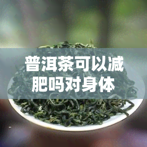 普洱茶可以减肥吗对身体有危害吗，普洱茶能减肥吗？探讨其效果及可能的危害