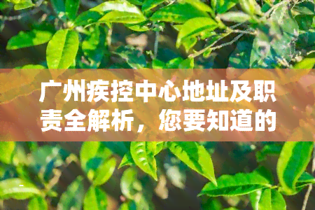 广州疾控中心地址及职责全解析，您要知道的一切都在这里！联系方式也一并奉上。