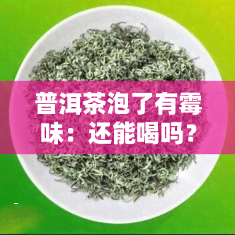 普洱茶泡了有霉味：还能喝吗？解析原因与处理方法