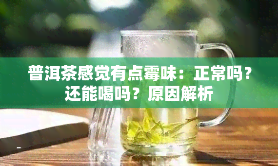 普洱茶感觉有点霉味：正常吗？还能喝吗？原因解析