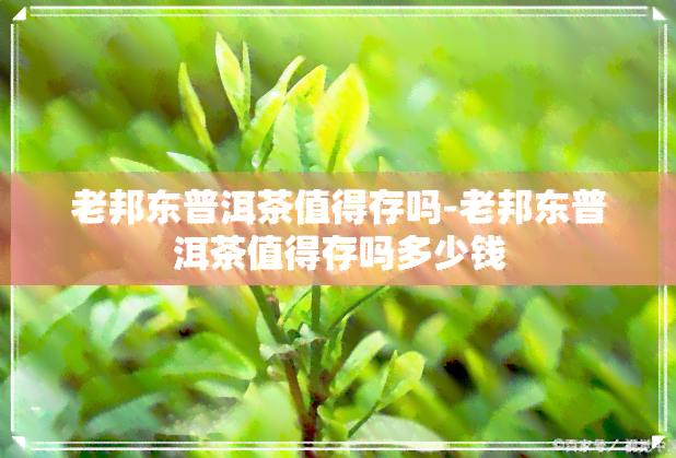 老邦东普洱茶值得存吗-老邦东普洱茶值得存吗多少钱