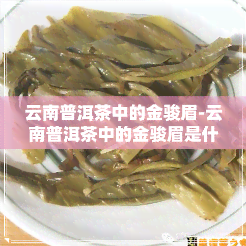 云南普洱茶中的金骏眉-云南普洱茶中的金骏眉是什么茶