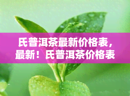 氏普洱茶最新价格表，最新！氏普洱茶价格表全览