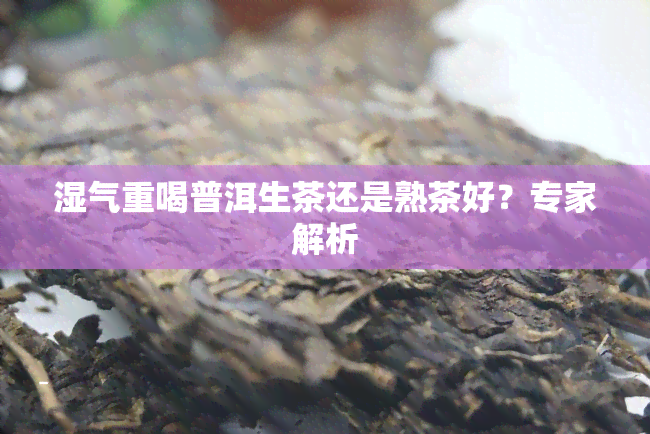 湿气重喝普洱生茶还是熟茶好？专家解析