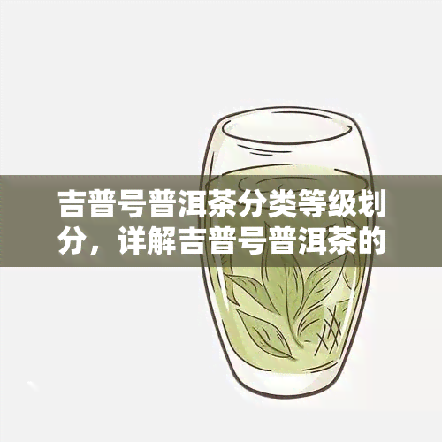 吉普号普洱茶分类等级划分，详解吉普号普洱茶的分类等级划分