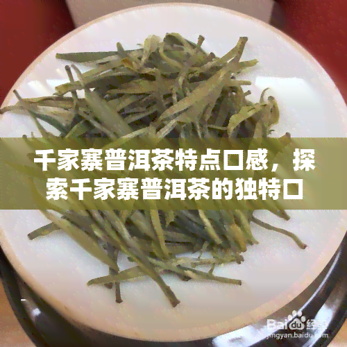 千家寨普洱茶特点口感，探索千家寨普洱茶的独特口感和特点