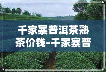 千家寨普洱茶熟茶价钱-千家寨普洱茶熟茶价钱多少