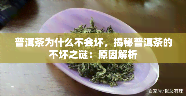 普洱茶为什么不会坏，揭秘普洱茶的不坏之谜：原因解析