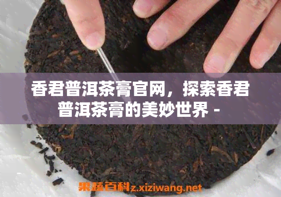 香君普洱茶膏官网，探索香君普洱茶膏的美妙世界 - 