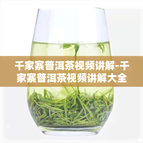 千家寨普洱茶视频讲解-千家寨普洱茶视频讲解大全