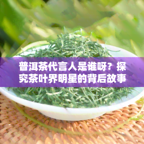 普洱茶代言人是谁呀？探究茶叶界明星的背后故事