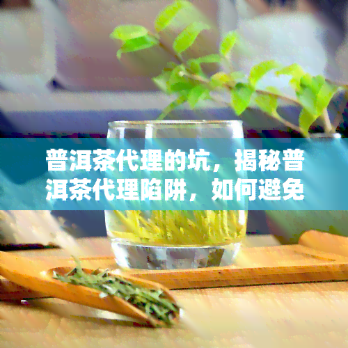 普洱茶代理的坑，揭秘普洱茶代理陷阱，如何避免踩坑？