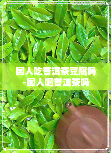 国人吃普洱茶豆腐吗-国人喝普洱茶吗