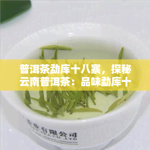 普洱茶勐库十八寨，探秘云南普洱茶：品味勐库十八寨的独特韵味