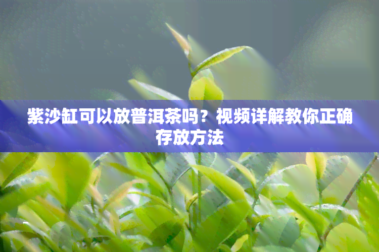 紫沙缸可以放普洱茶吗？视频详解教你正确存放方法