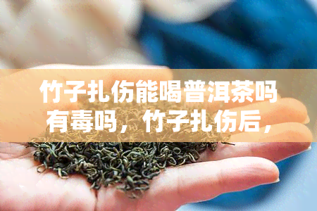 竹子扎伤能喝普洱茶吗有吗，竹子扎伤后，可以饮用普洱茶吗？是否有？