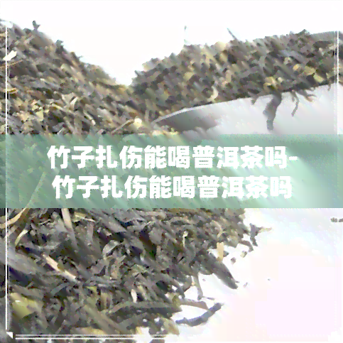 竹子扎伤能喝普洱茶吗-竹子扎伤能喝普洱茶吗