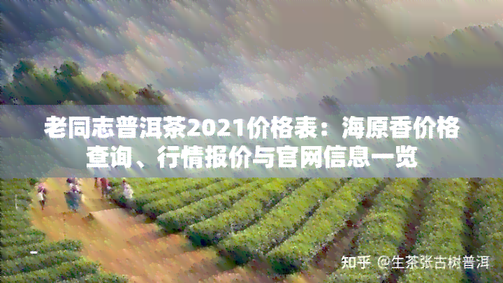 老同志普洱茶2021价格表：海原香价格查询、行情报价与官网信息一览