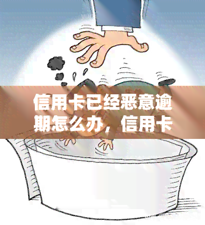 信用卡已经恶意逾期怎么办，信用卡恶意逾期，我该怎么办？