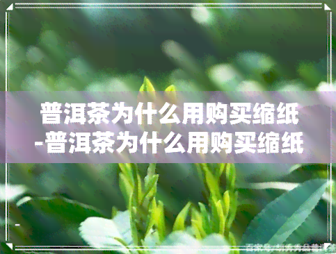 普洱茶为什么用购买缩纸-普洱茶为什么用购买缩纸呢