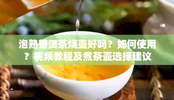 泡熟普洱茶烧壶好吗？如何使用？视频教程及煮茶壶选择建议