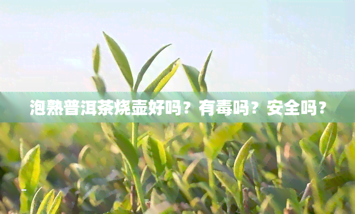 泡熟普洱茶烧壶好吗？有吗？安全吗？