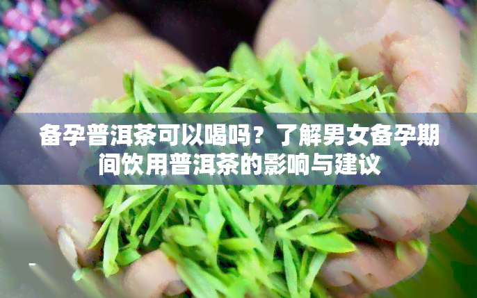 备孕普洱茶可以喝吗？了解男女备孕期间饮用普洱茶的影响与建议