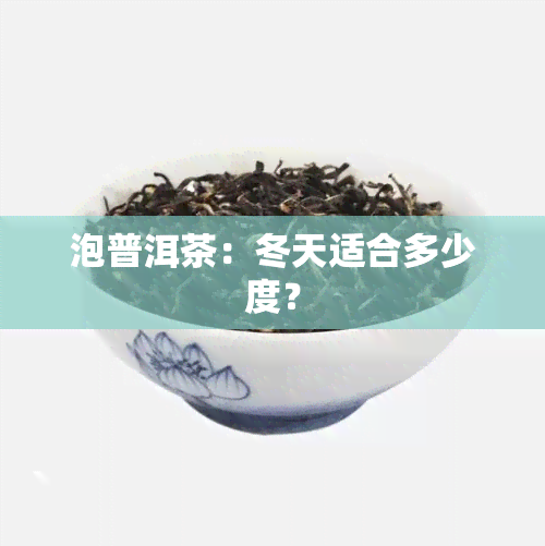 泡普洱茶：冬天适合多少度？