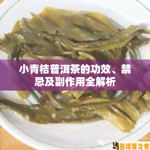 小青桔普洱茶的功效、禁忌及副作用全解析