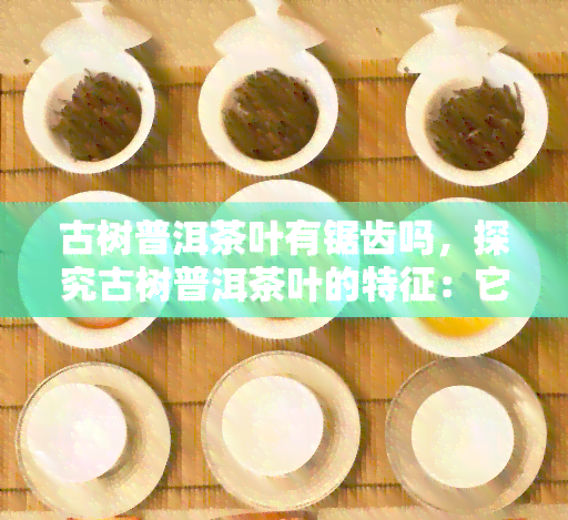 古树普洱茶叶有锯齿吗，探究古树普洱茶叶的特征：它们是否有锯齿？