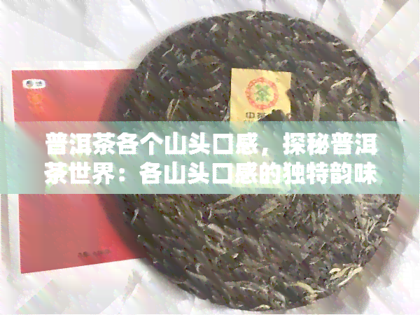 普洱茶各个山头口感，探秘普洱茶世界：各山头口感的独特韵味