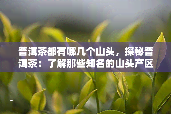 普洱茶都有哪几个山头，探秘普洱茶：了解那些知名的山头产区