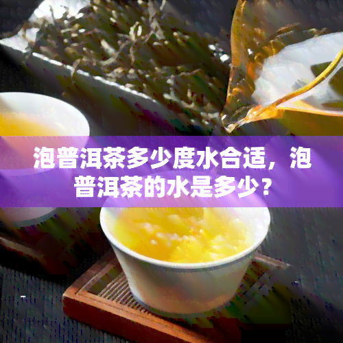 泡普洱茶多少度水合适，泡普洱茶的水是多少？