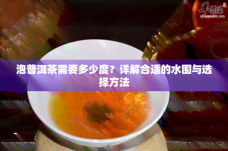 泡普洱茶需要多少度？详解合适的水围与选择方法