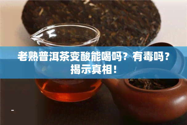 老熟普洱茶变酸能喝吗？有吗？揭示真相！