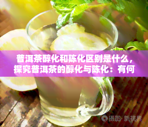 普洱茶醇化和陈化区别是什么，探究普洱茶的醇化与陈化：有何不同？