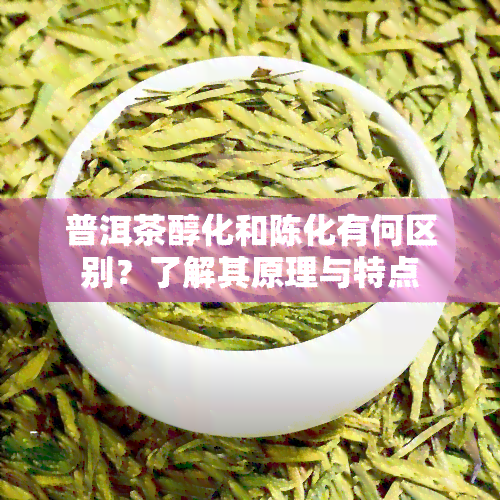 普洱茶醇化和陈化有何区别？了解其原理与特点