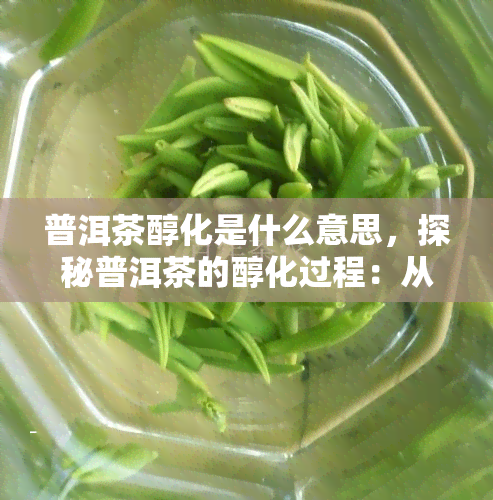 普洱茶醇化是什么意思，探秘普洱茶的醇化过程：从叶到陈年佳酿