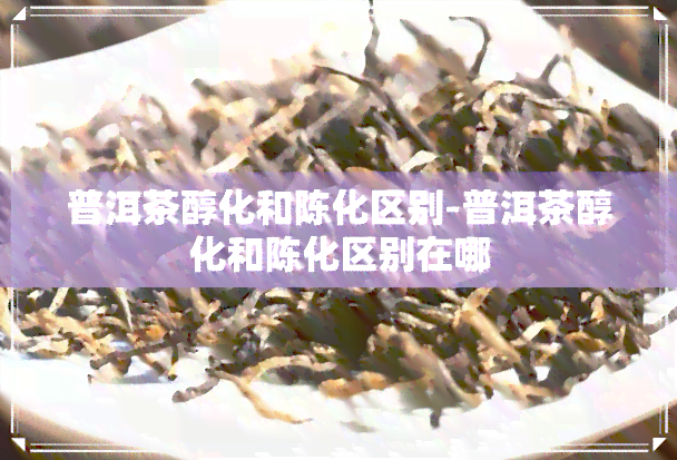 普洱茶醇化和陈化区别-普洱茶醇化和陈化区别在哪