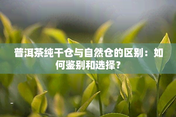 普洱茶纯干仓与自然仓的区别：如何鉴别和选择？