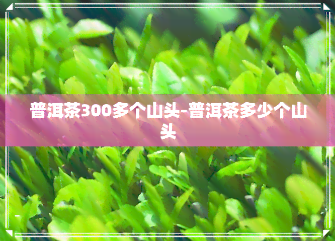 普洱茶300多个山头-普洱茶多少个山头