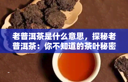 老普洱茶是什么意思，探秘老普洱茶：你不知道的茶叶秘密