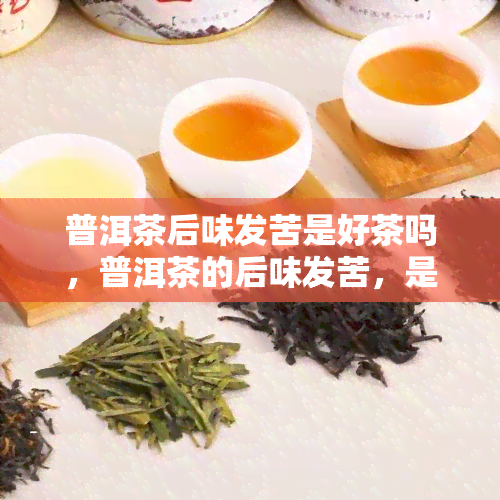 普洱茶后味发苦是好茶吗，普洱茶的后味发苦，是否代表它是好茶？